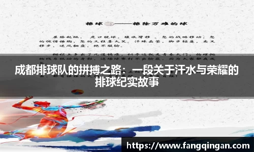 6686体育平台