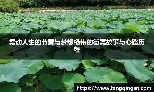 6686体育APP